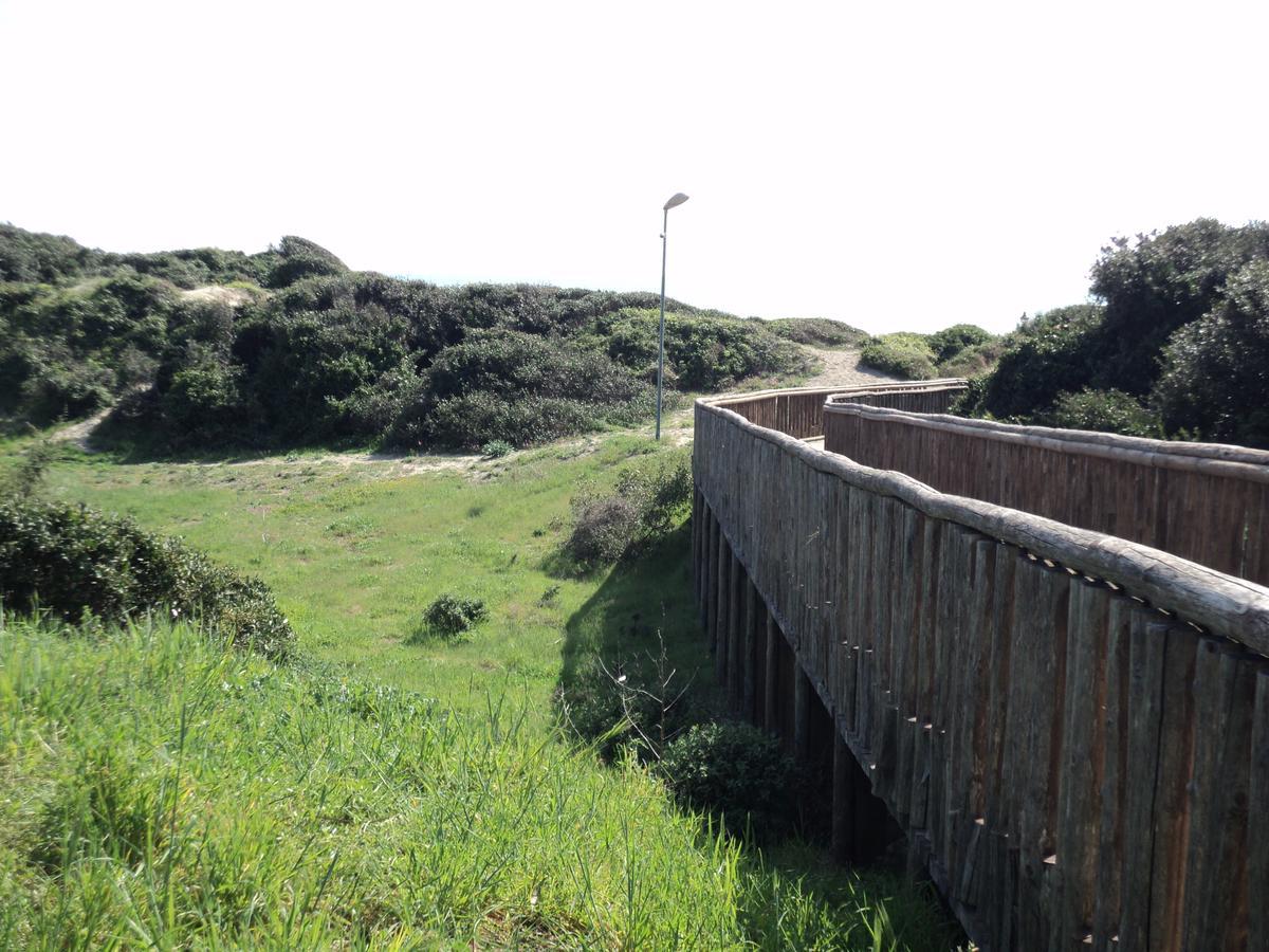 Villino dei Coralli Lido di Ostia Esterno foto